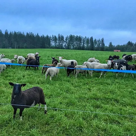 Couette-café Mulikan Hillton