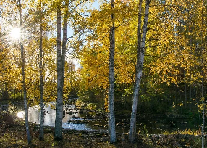 Bed and breakfast Mulikan Hillton Pääjärvi