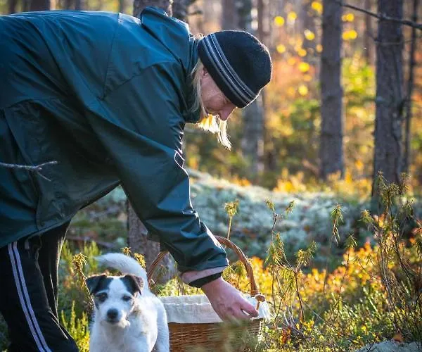 Mulikan Hillton Bed & Breakfast