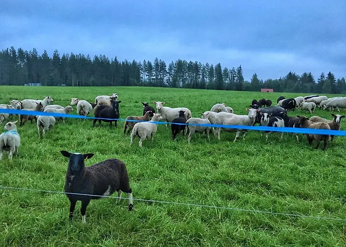 Bed and breakfast Mulikan Hillton