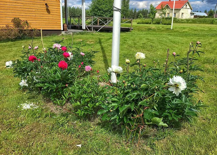 Mulikan Hillton 3* Pääjärvi